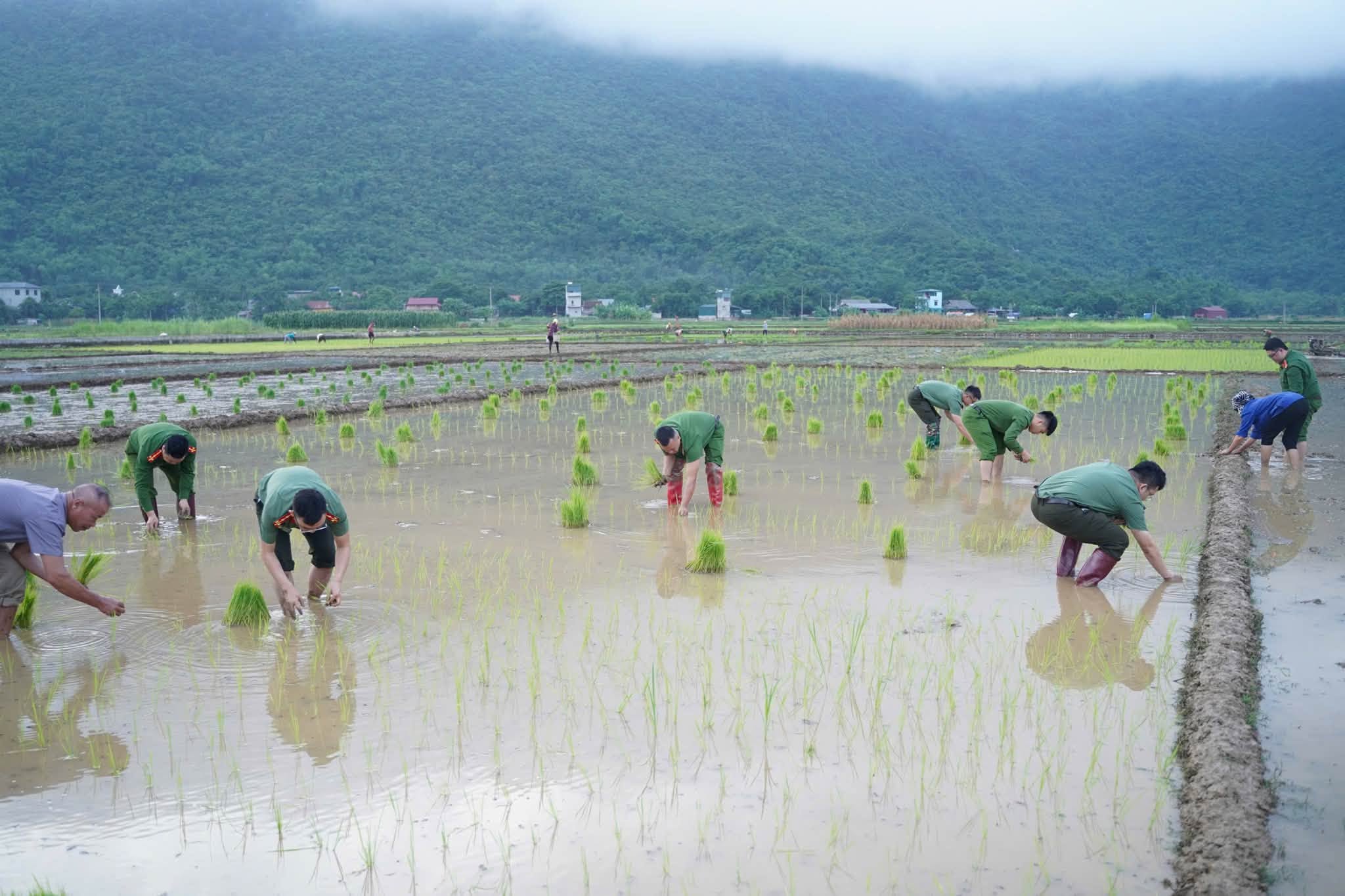 Tin nổi bật